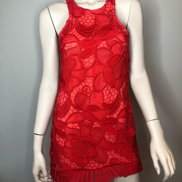 Lovers and Friends Caspian Shift red lace dress - Picture 3 of 4